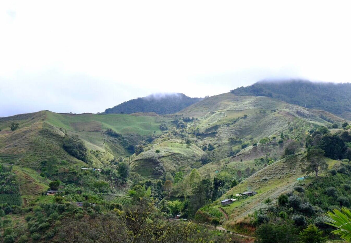 Colombia La Manga コロンビア ラ マンガ
