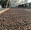 Guatemala Finca  La Labor グァテマラ カーボニックマセレーション