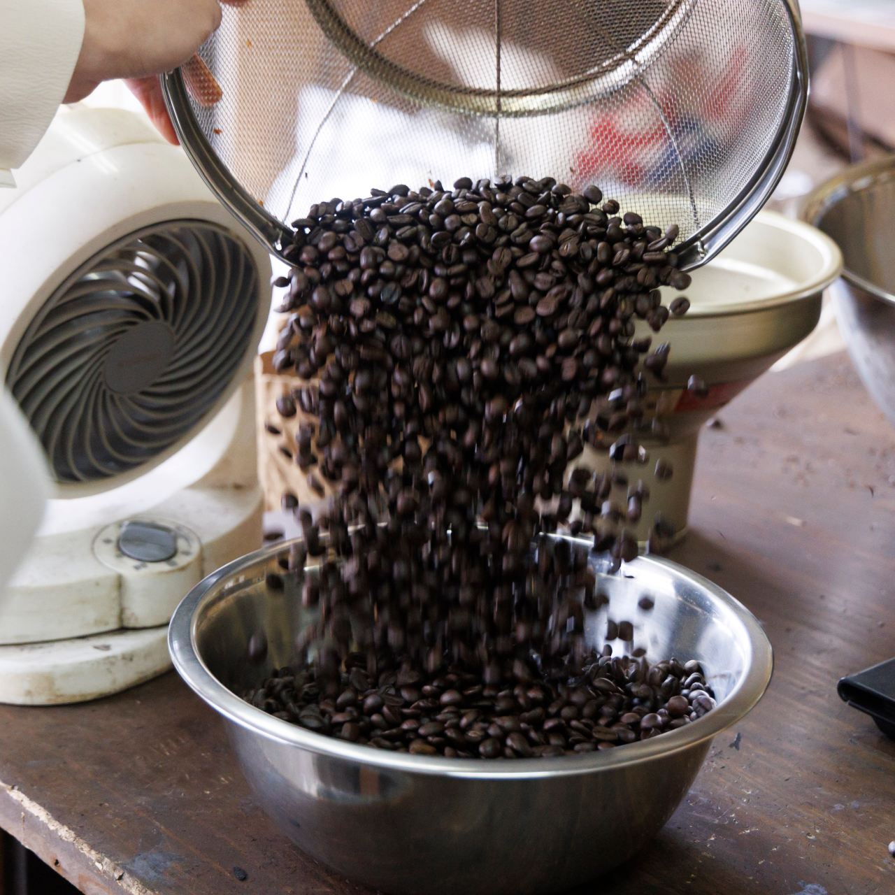 Guatemala Finca  El Socorro【グァテマラ｜エルソコロ】