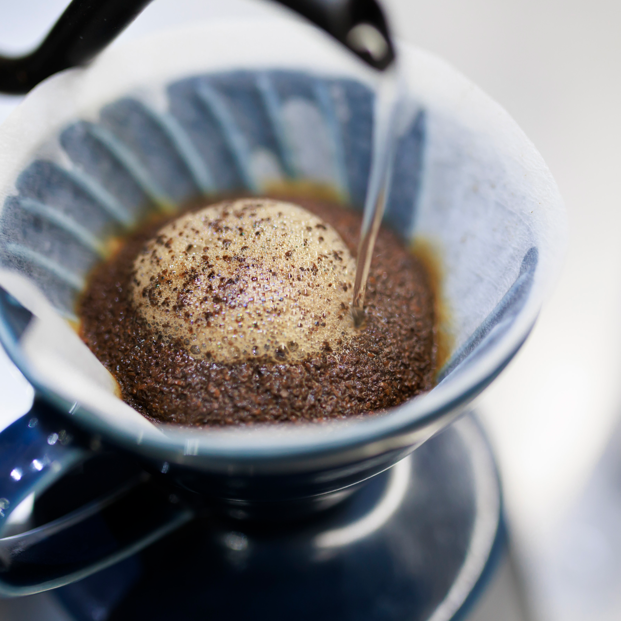 Guatemala Finca  El Socorro【グァテマラ｜エルソコロ】