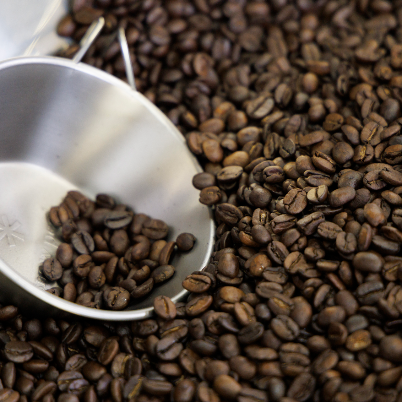 Guatemala Finca  El Socorro【グァテマラ｜エルソコロ】