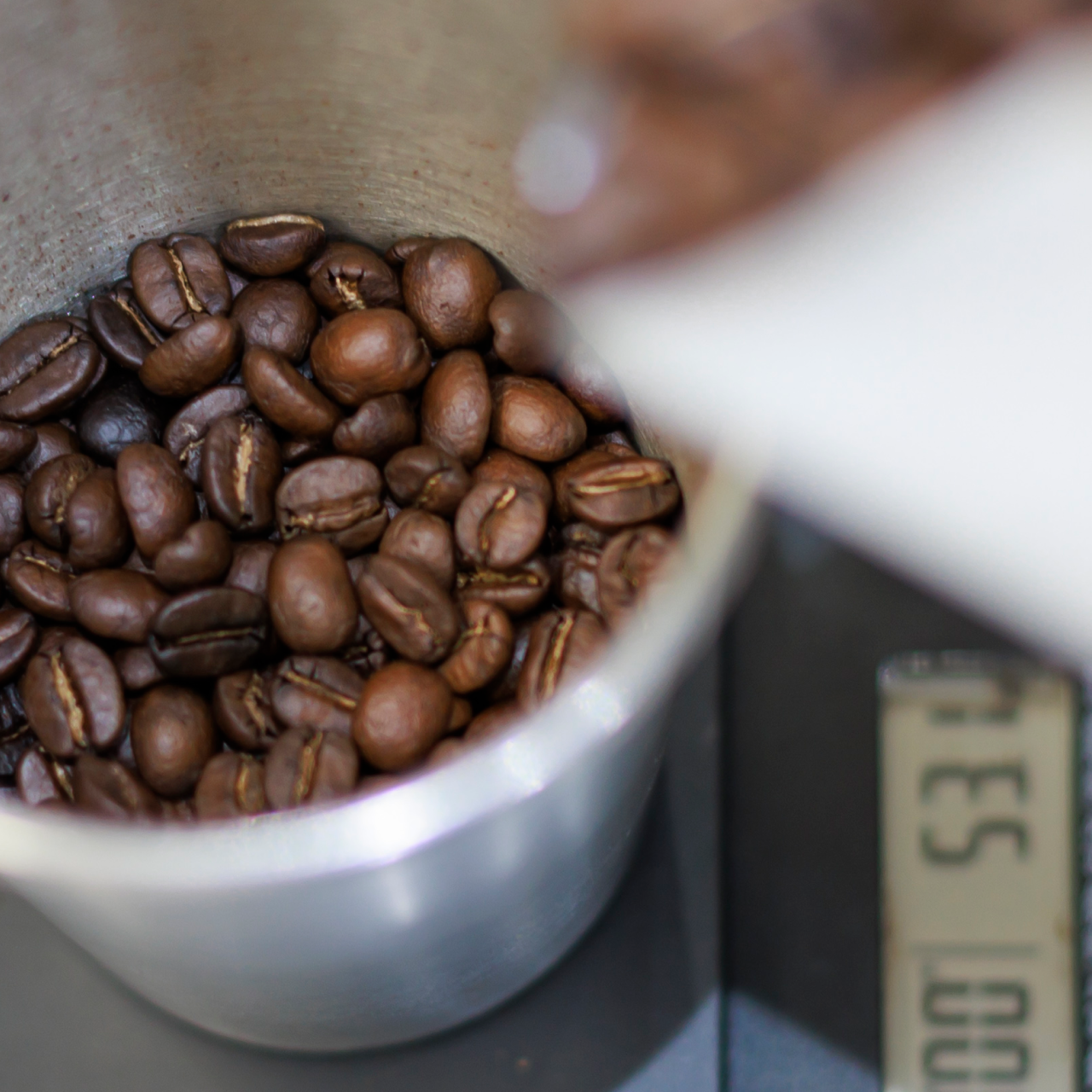 Guatemala Finca  El Socorro【グァテマラ｜エルソコロ】