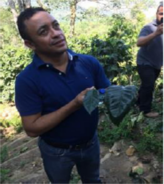 ニカラグア　モンテ　リヴァノ　深煎り　~nicaragua finca monte livano~